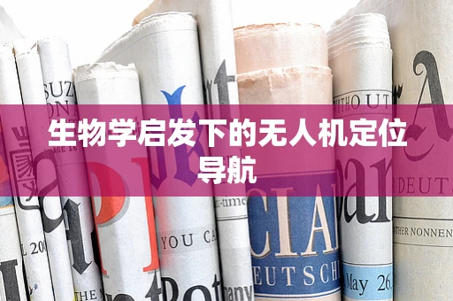 生物学启发下的无人机定位导航