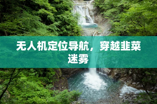 无人机定位导航，穿越韭菜迷雾