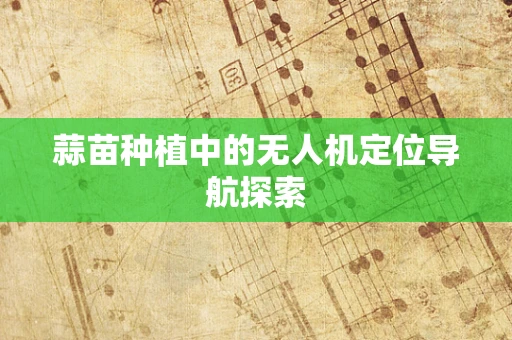 蒜苗种植中的无人机定位导航探索