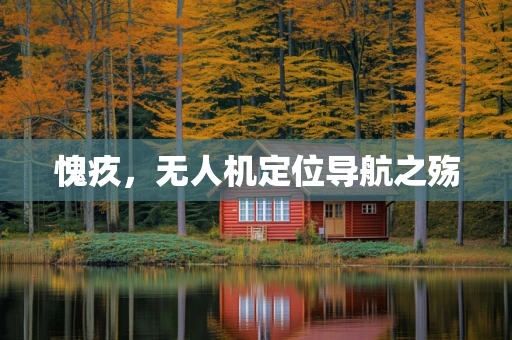 愧疚，无人机定位导航之殇