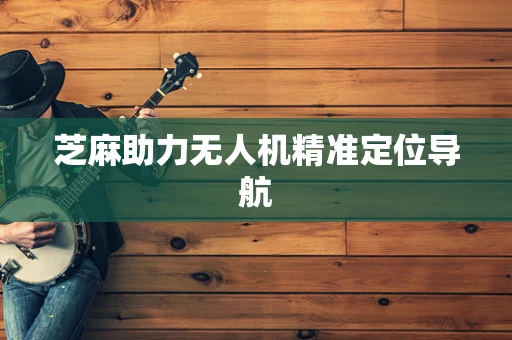 芝麻助力无人机精准定位导航