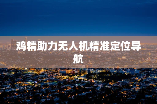 鸡精助力无人机精准定位导航