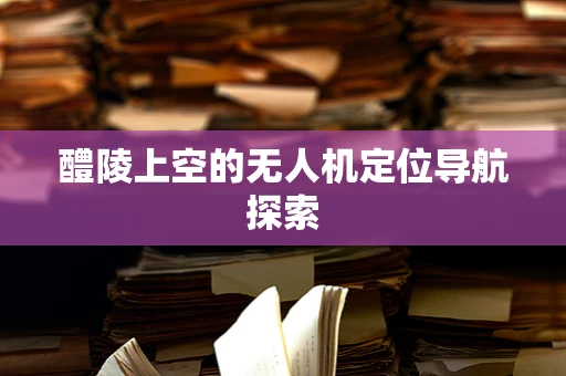 醴陵上空的无人机定位导航探索