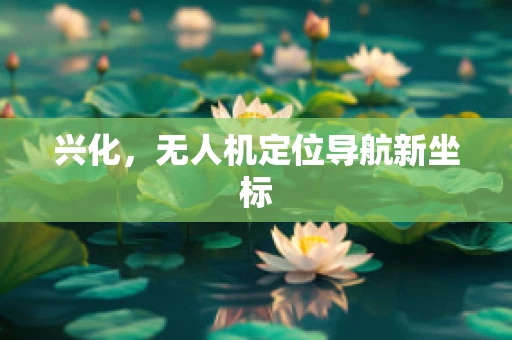 兴化，无人机定位导航新坐标