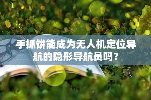 手抓饼能成为无人机定位导航的隐形导航员吗？