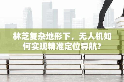 林芝复杂地形下，无人机如何实现精准定位导航？