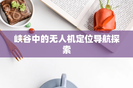 峡谷中的无人机定位导航探索