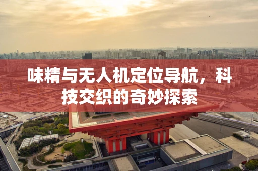 味精与无人机定位导航，科技交织的奇妙探索