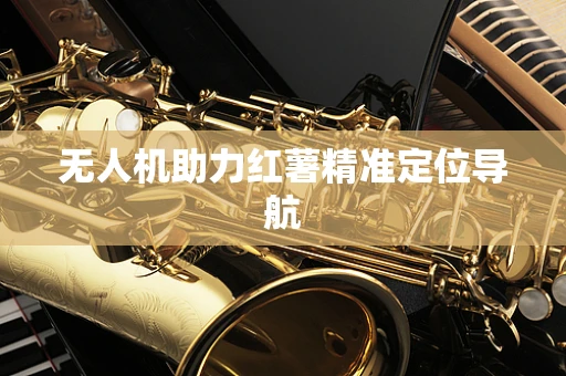 无人机助力红薯精准定位导航