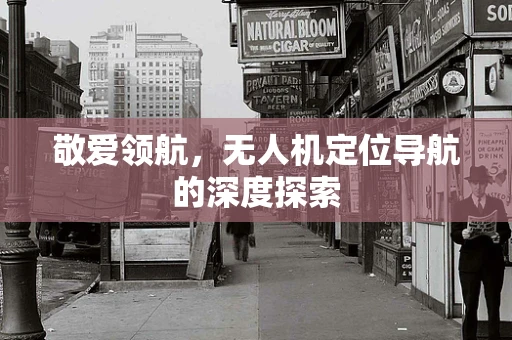 敬爱领航，无人机定位导航的深度探索