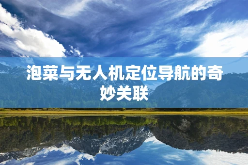 泡菜与无人机定位导航的奇妙关联