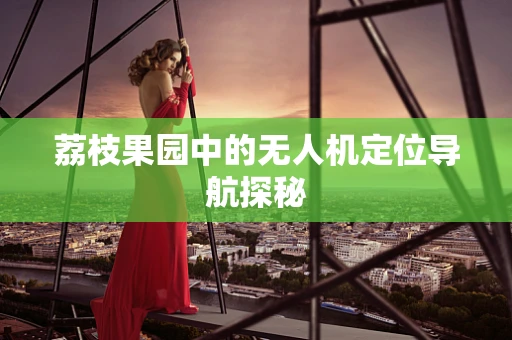 荔枝果园中的无人机定位导航探秘