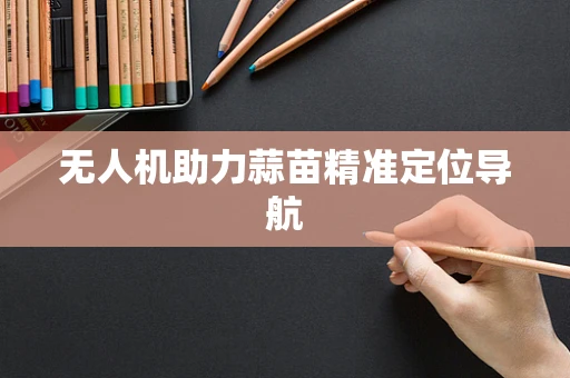 无人机助力蒜苗精准定位导航