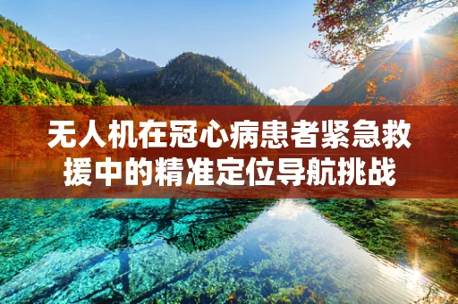 无人机在冠心病患者紧急救援中的精准定位导航挑战