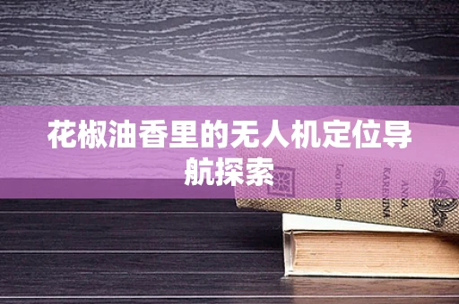 花椒油香里的无人机定位导航探索