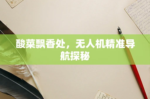 酸菜飘香处，无人机精准导航探秘