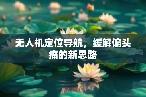 无人机定位导航，缓解偏头痛的新思路