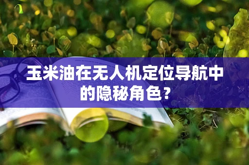 玉米油在无人机定位导航中的隐秘角色？