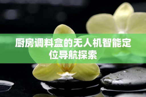 厨房调料盒的无人机智能定位导航探索