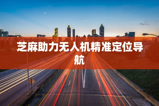芝麻助力无人机精准定位导航