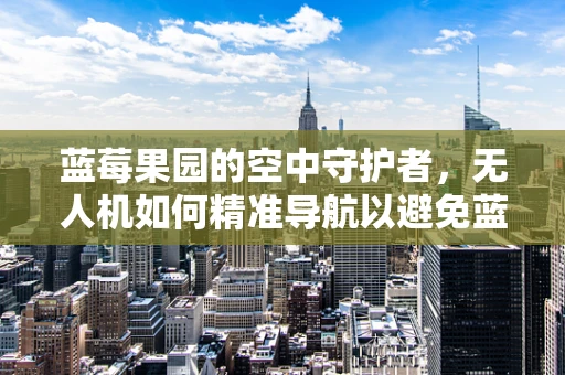 蓝莓果园的空中守护者，无人机如何精准导航以避免蓝莓的甜蜜陷阱？
