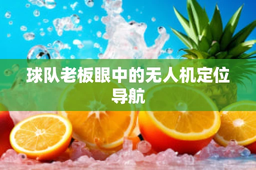 球队老板眼中的无人机定位导航