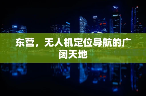 东营，无人机定位导航的广阔天地