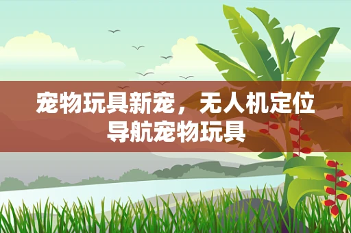 宠物玩具新宠，无人机定位导航宠物玩具