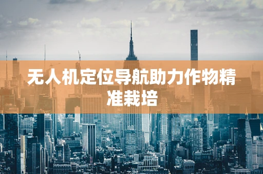 无人机定位导航助力作物精准栽培