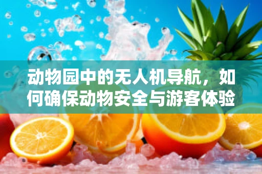 动物园中的无人机导航，如何确保动物安全与游客体验的双重保障？