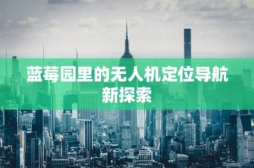 蓝莓园里的无人机定位导航新探索