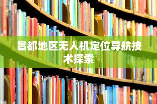 昌都地区无人机定位导航技术探索