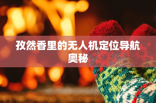 孜然香里的无人机定位导航奥秘