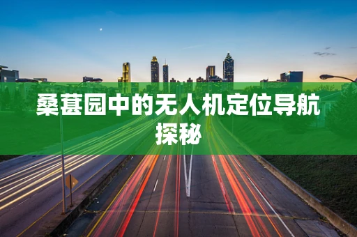桑葚园中的无人机定位导航探秘