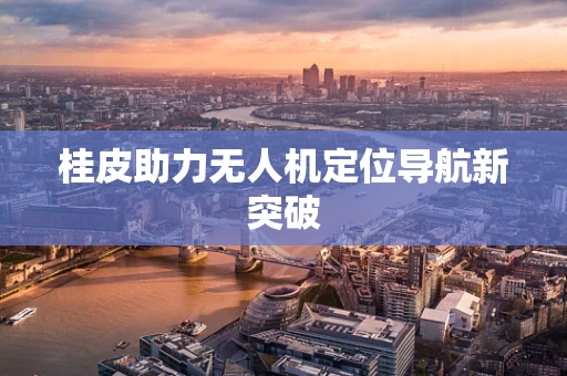桂皮助力无人机定位导航新突破