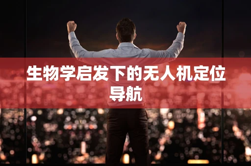 生物学启发下的无人机定位导航