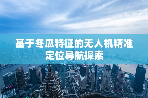基于冬瓜特征的无人机精准定位导航探索