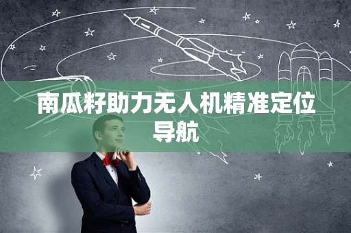 南瓜籽助力无人机精准定位导航