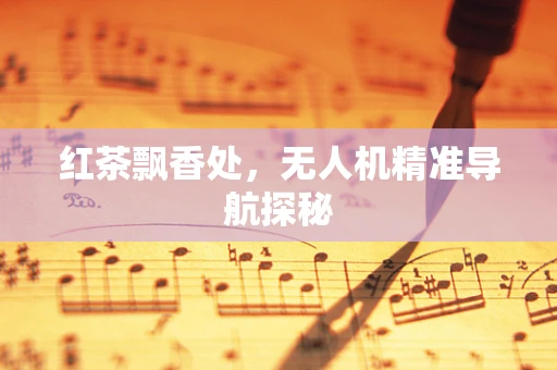 红茶飘香处，无人机精准导航探秘