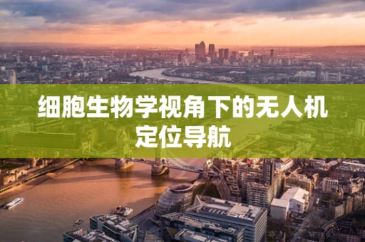 细胞生物学视角下的无人机定位导航