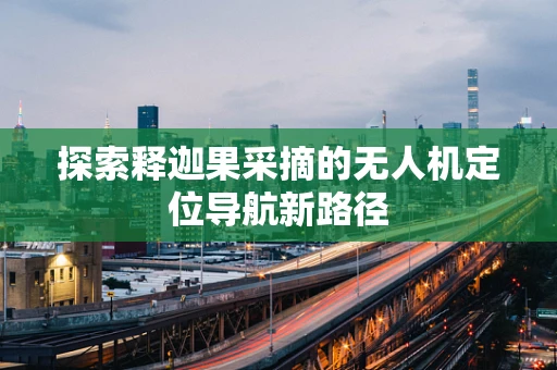 探索释迦果采摘的无人机定位导航新路径