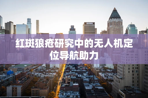 红斑狼疮研究中的无人机定位导航助力