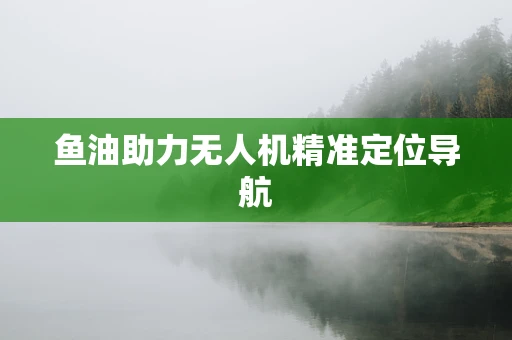 鱼油助力无人机精准定位导航