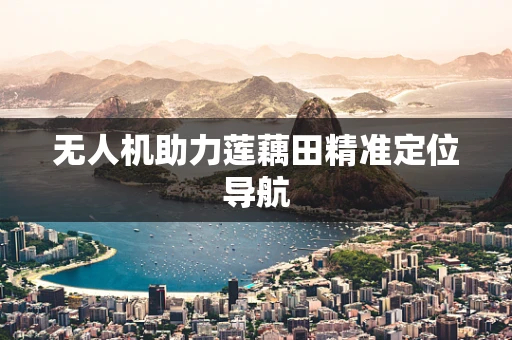 无人机助力莲藕田精准定位导航