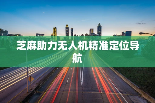 芝麻助力无人机精准定位导航