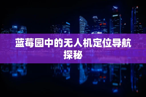 蓝莓园中的无人机定位导航探秘