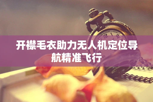 开襟毛衣助力无人机定位导航精准飞行