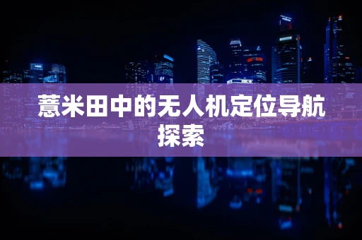 薏米田中的无人机定位导航探索