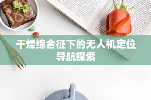 干燥综合征下的无人机定位导航探索