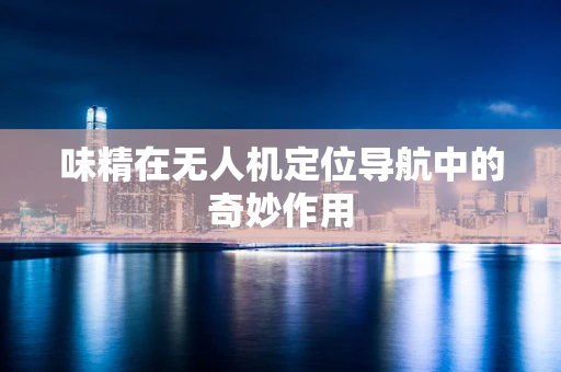 味精在无人机定位导航中的奇妙作用